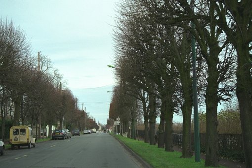 photo
              n A20