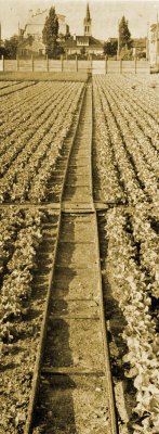 Rails.jpg (26678 octets)