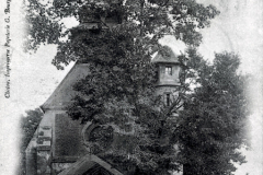 Eglise-cachee-par-un-arbre