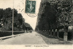 Avenue-des-Tilleuls-2
