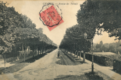 Avenue-des-Tilleuls-3