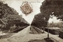 Avenue-des-Tilleuls-4