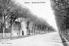 Avenue-des-Tilleuls-5