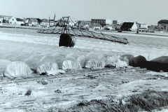 Annees-80