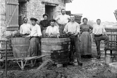 Lavage-Carottes
