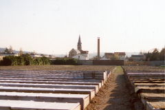Terrain